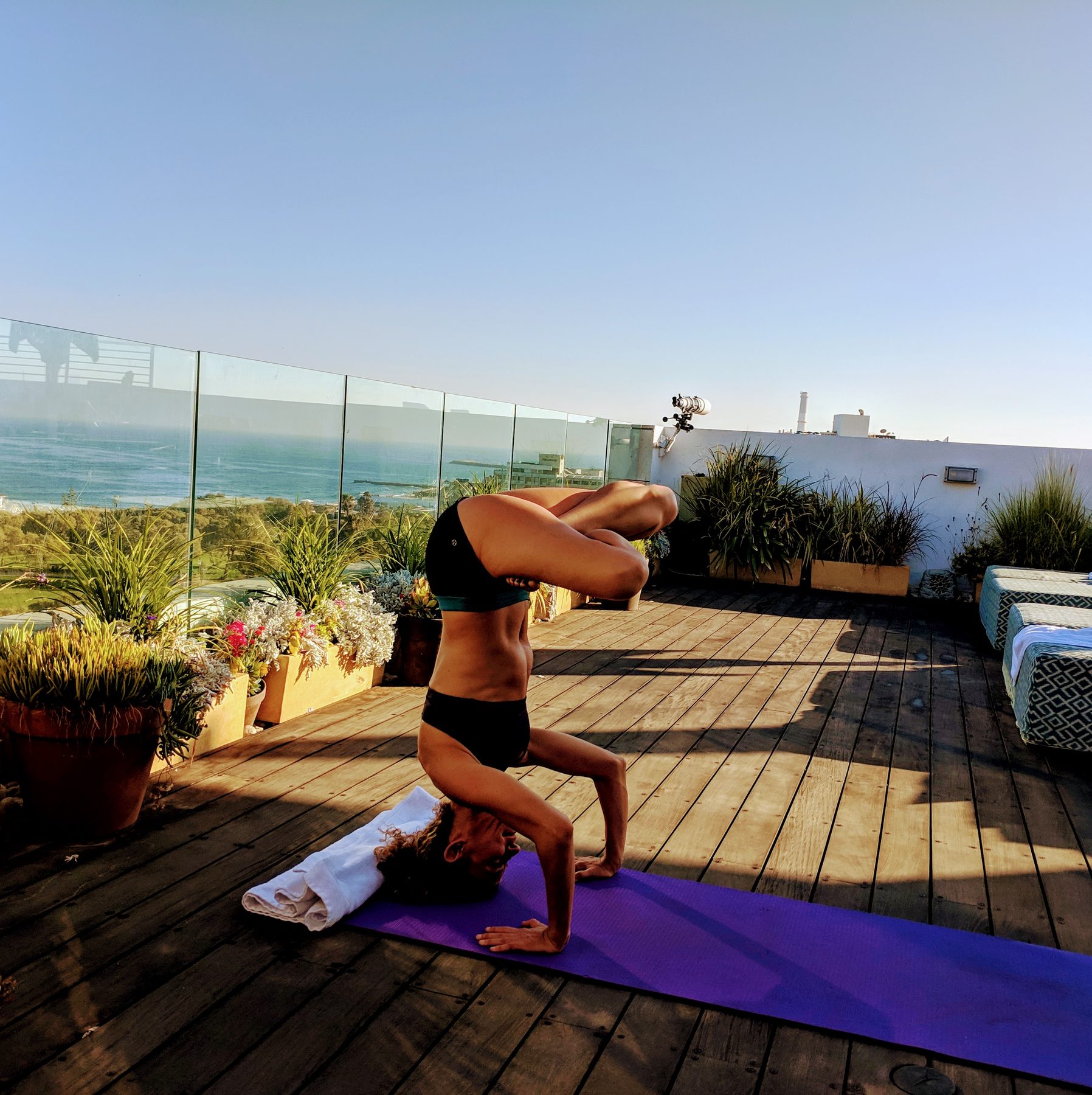 Shani in a forearm stand on a rooftop overlooking the ocean